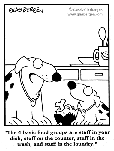 Pet Food Groups Cartoon