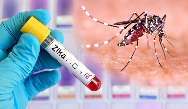 The Zika Virus Public Health Emergency