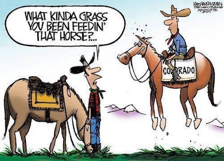 Cannabis Cartoon Grass