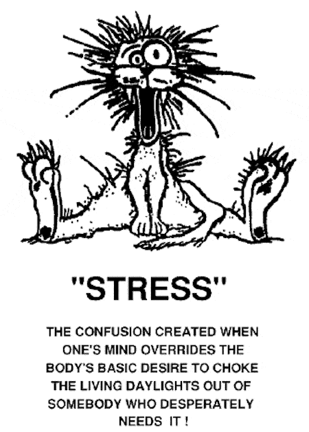 Stress Funny Cartoon Definition