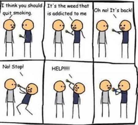 Funny Marijuana Kids Cartoon
