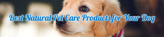 all natural pet care